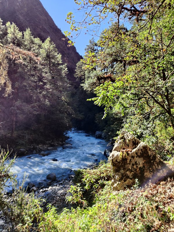 Continuously flowing Langtang River